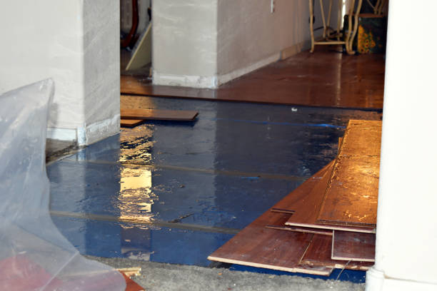Professional Basement Water Removal technician working in Andover, ME